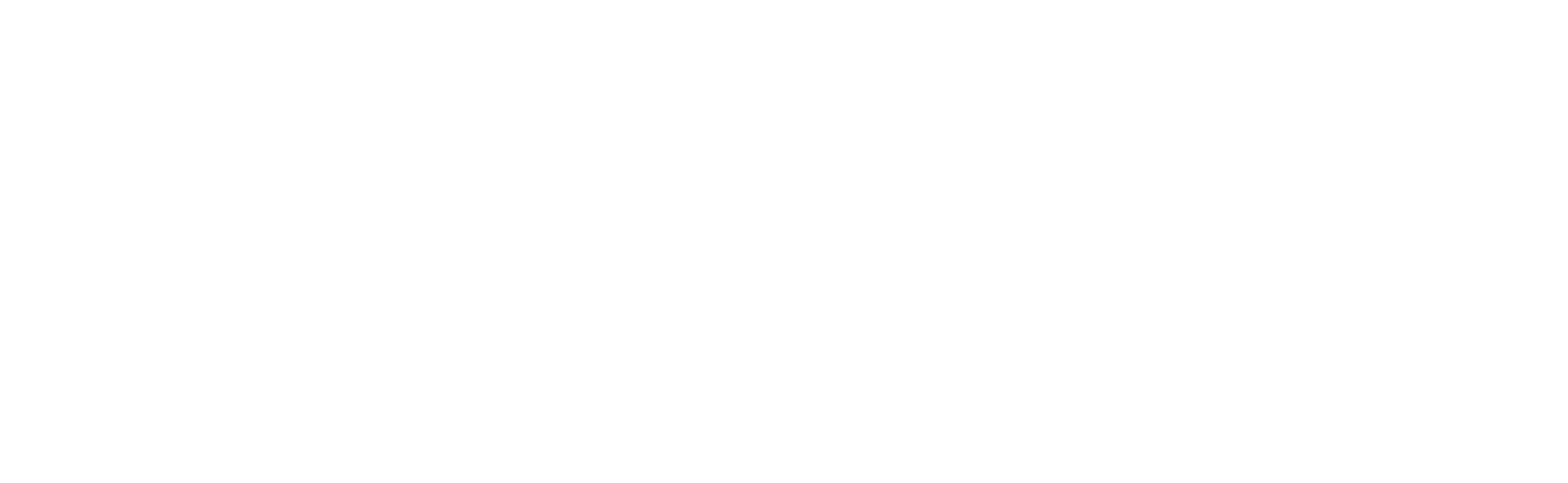 pn-white-png-logo-18
